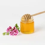 Compot ananas rondele/bucăți